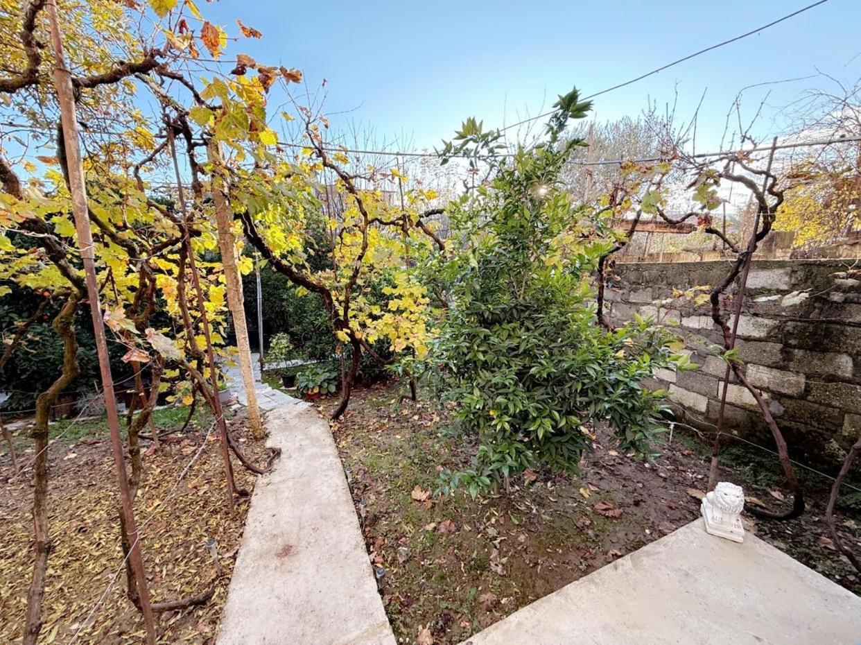 Guesthouse Albi Berat Zewnętrze zdjęcie
